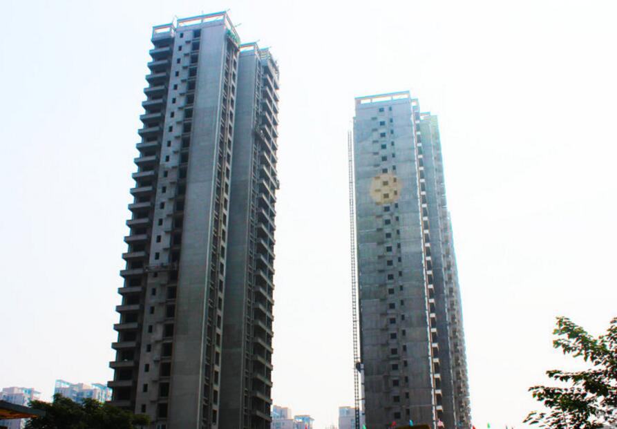 爱菊欣园2024最新消息揭秘，友情与陪伴的温馨日常