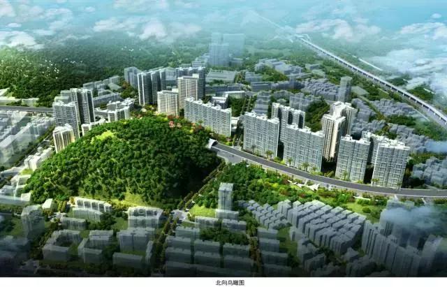 罗湖玉龙棚改最新进展，科技引领重塑生活，未来触手可及