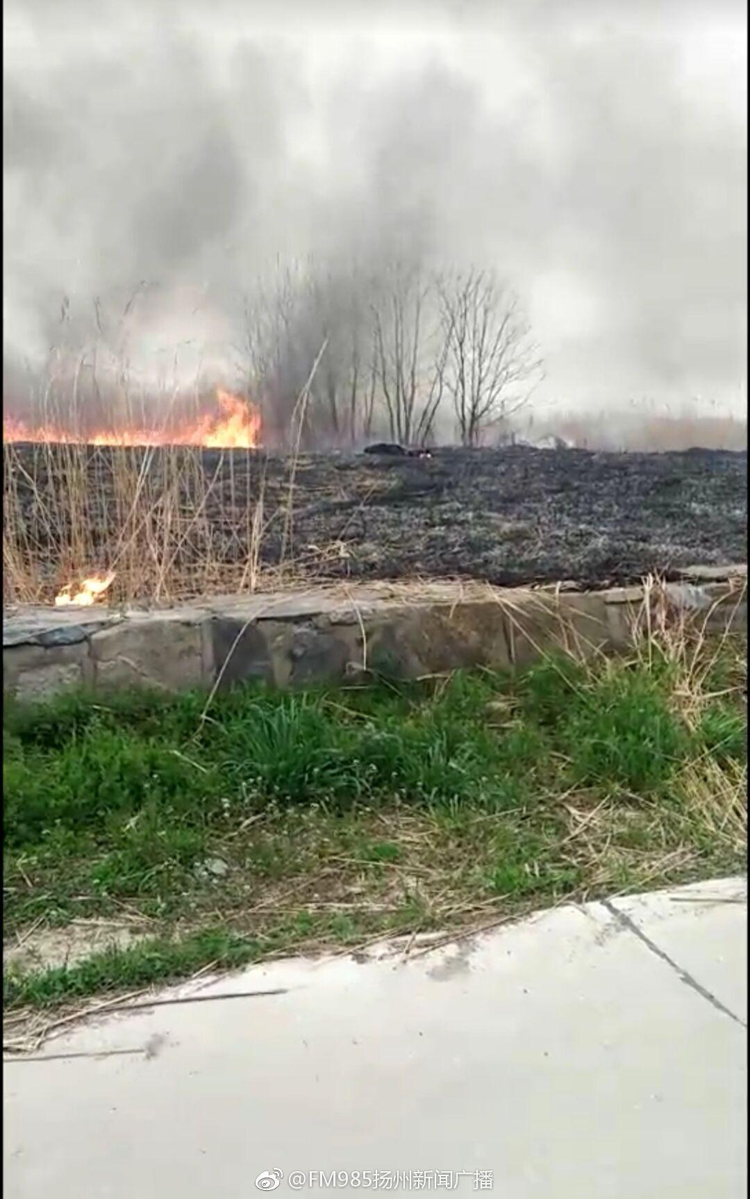 高邮新闻网科技前沿，引领未来生活的科技产品重磅发布！