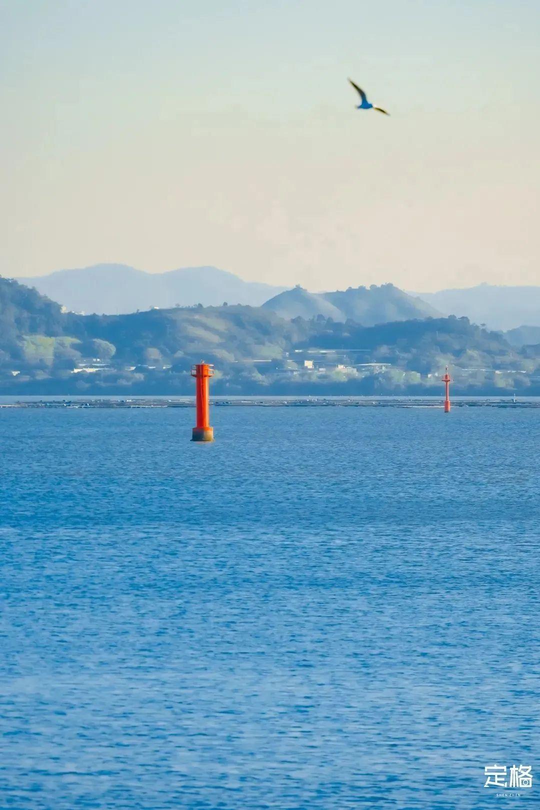 深圳海边公园最新,深圳海边公园最新打卡攻略🌊