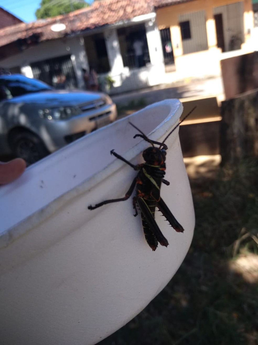 汽车及汽车配件 第361页