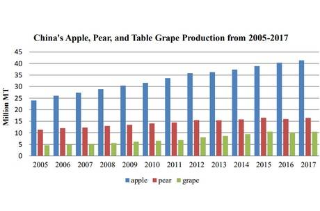 我国苹果产量最新详解与种植指南