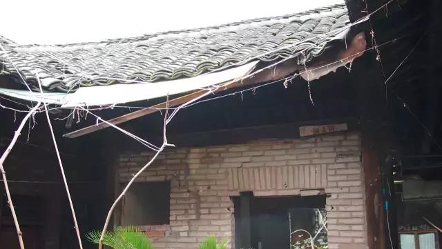 最新型猪圈搭建步骤详解,从基础到完成的实用指南