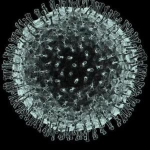 揭秘最新病毒源与健康防护知识全攻略🔍💪