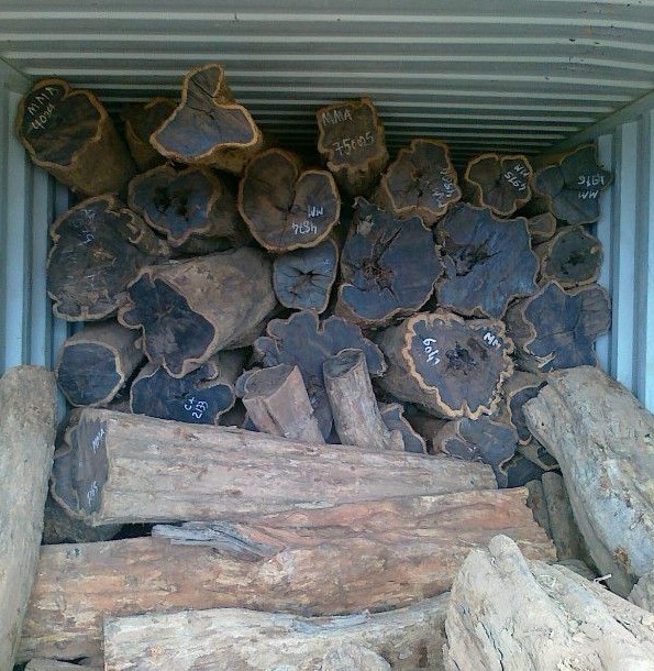 木精最新价格全面指南