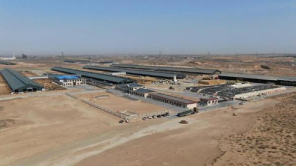 新澳最新最快资料新澳60期,社会承担实践战略_知识版52.156