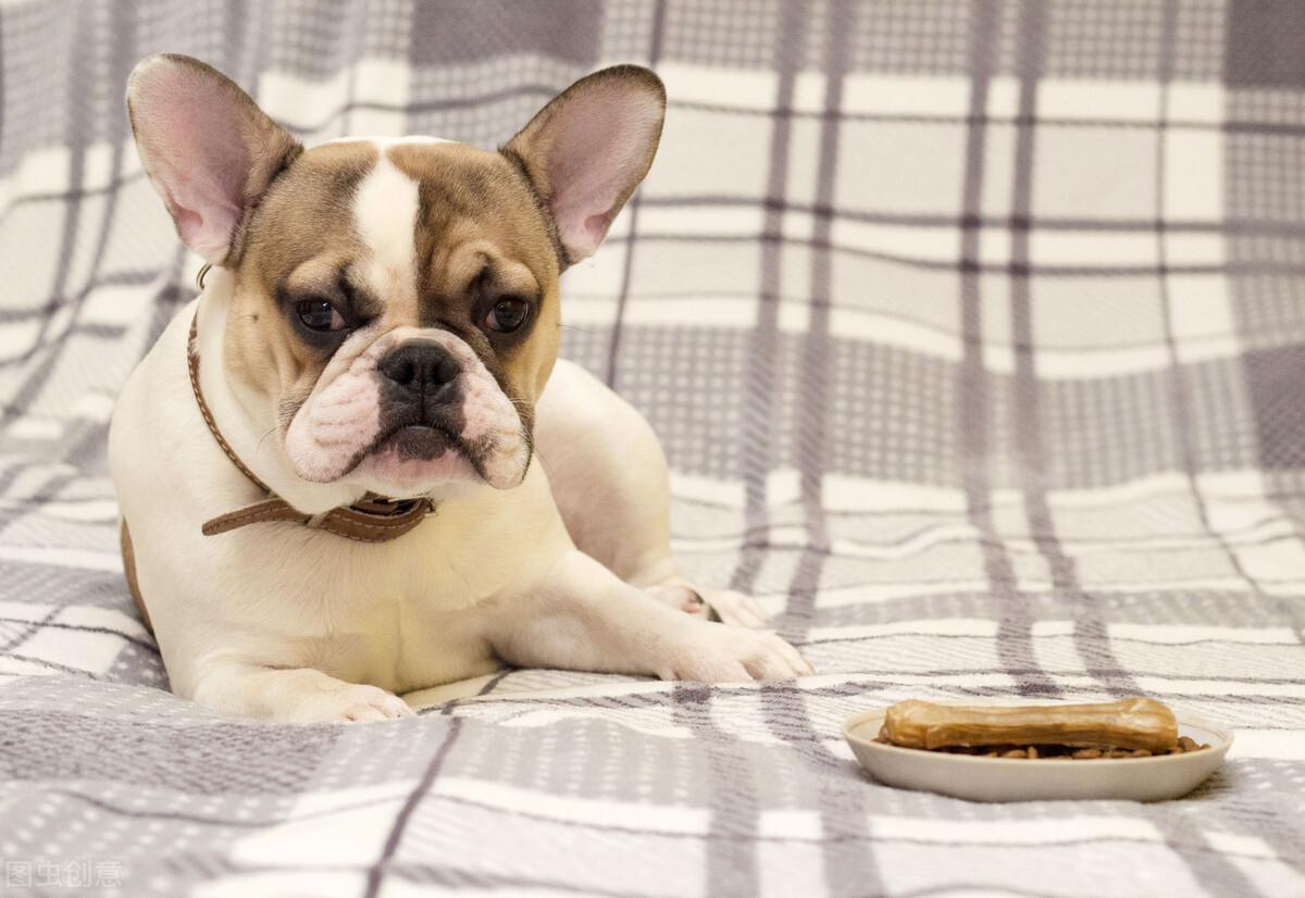 最新噜噜吧，热门话题与娱乐资讯的汇聚平台