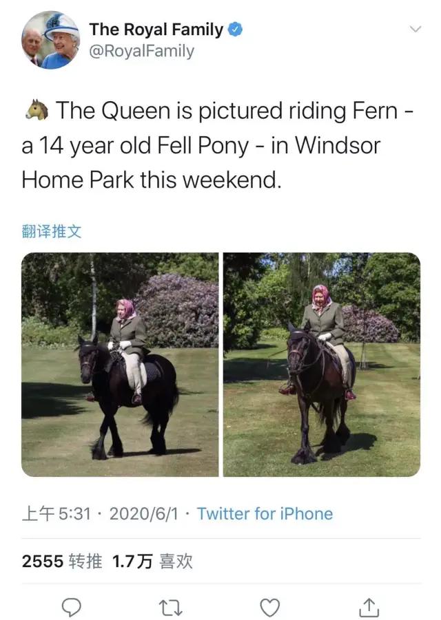 辽阳最新发展动态详解，获取辽阳最新情况的指南