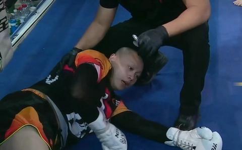 刘二逗最新热点聚焦与深度探讨独家报道