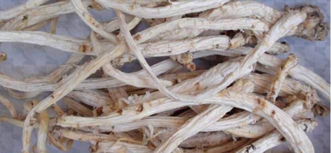 桔梗最新价格及行情分析