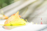 QQ头像精选，动漫男生风采展示