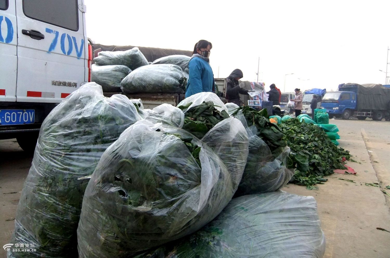 西安欣桥蔬菜最新行情分析与概览