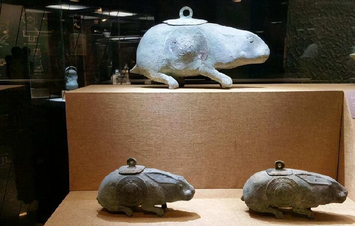 最新萌宠盘点，温馨有趣的日常故事，萌宠来袭！