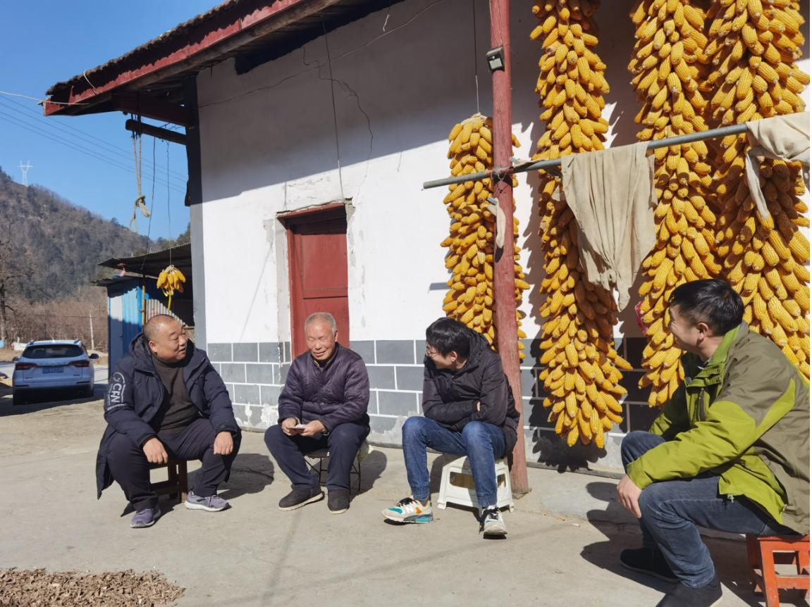 新场镇最新发展动态概览