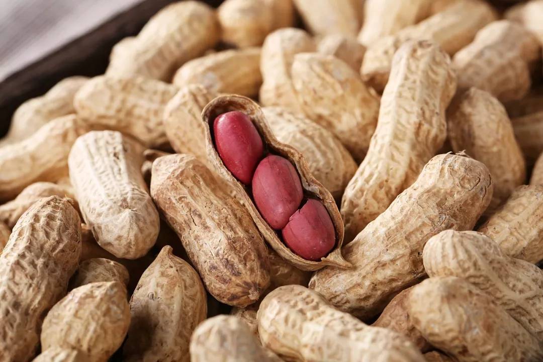 河南花生米最新价格预测，与自然美景对话的旅行启示