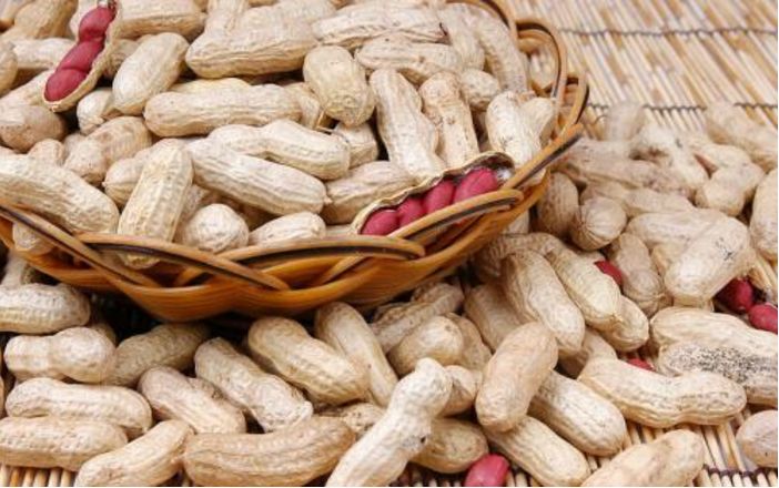 河南花生米最新价格预测,与自然美景对话的旅行启示