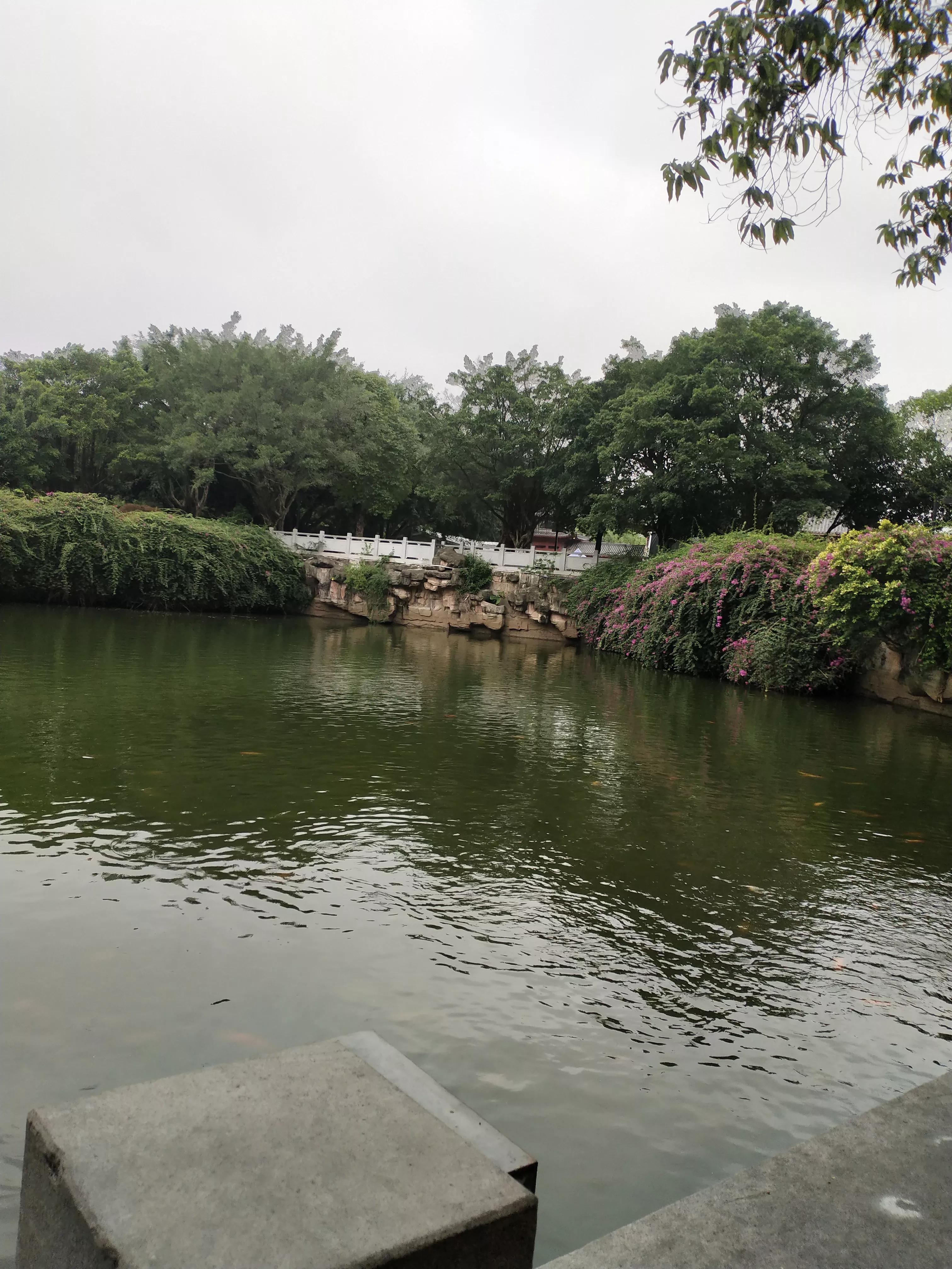 东莞东城新闻速递，最新资讯与热点聚焦