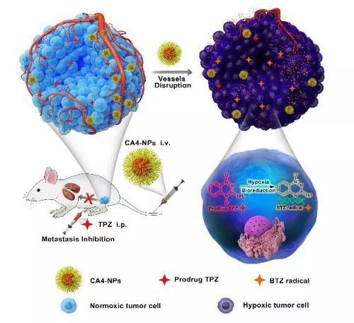 上市纳米药物，详细步骤指南与解析