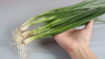 长汀小巷深处的独特风味，最新资讯一网打尽