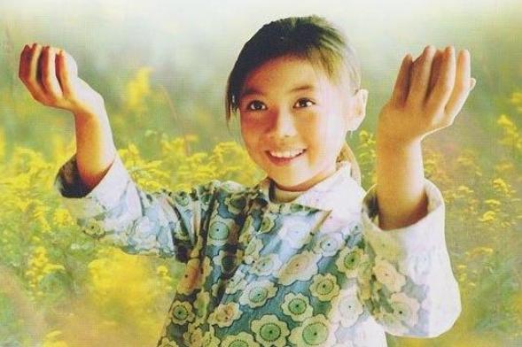 蚊子电影，自然美景之旅与内心平静的探寻之旅