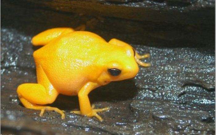 汽车及汽车配件 第286页