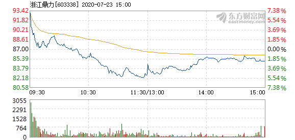 浙江鼎力的最新动态，小巷中的独特风味探索