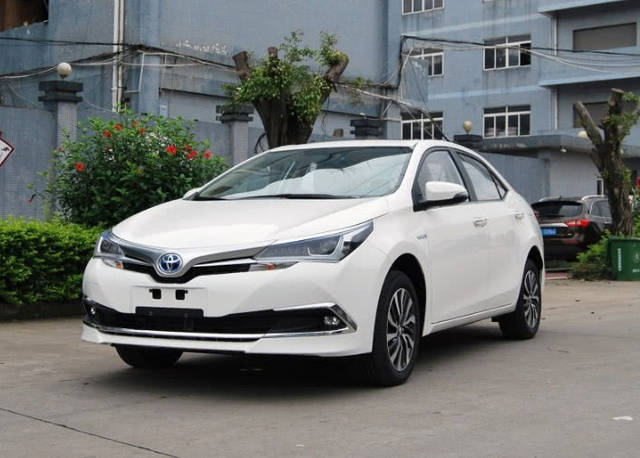 卡罗拉油电混合价格，一段友情与陪伴的温馨故事