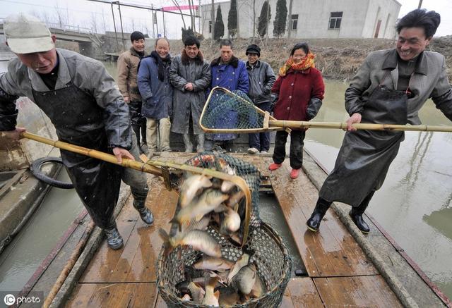 楚州区二手房市场动态深度解析