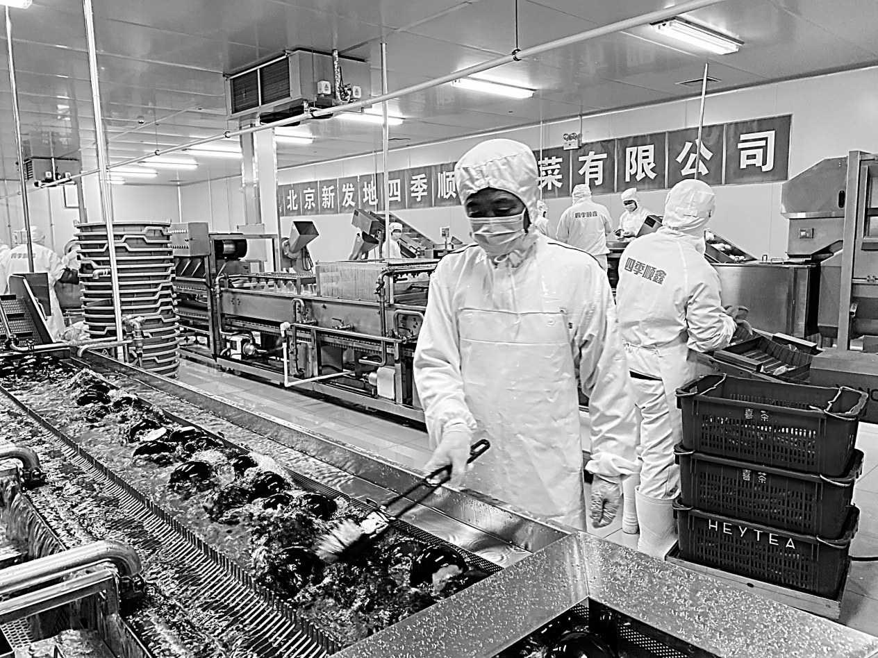 垃圾处理行业上市公司,引领绿色发展之路