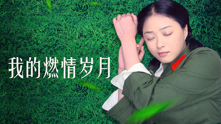 我的燃情岁月角色深度解析与演员匹配