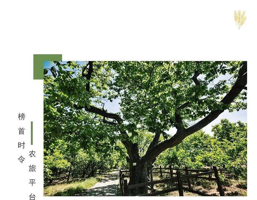 汽车及汽车配件 第260页