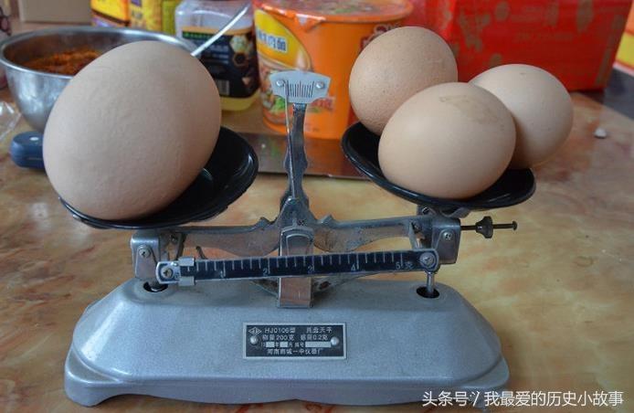 顶蛋比赛，别开生面的竞技狂欢！