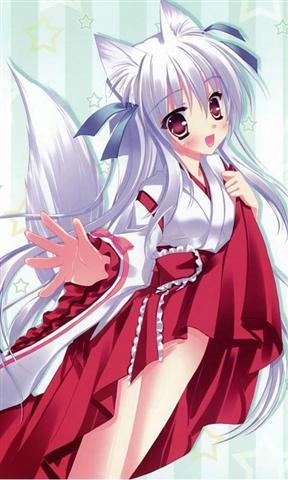 最新动漫下载,一站式满足你的动漫观看需求