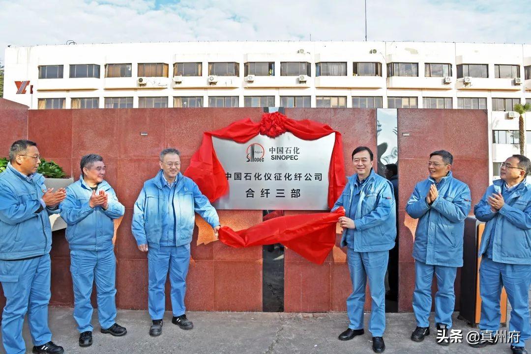 化纤短纤行情深度解析，洞悉市场趋势与把握投资机会的策略指南