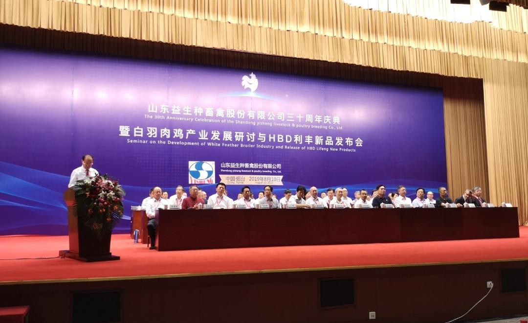 龙头股份最新动态，友谊之旅启程