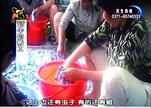 光明牛奶最新事件,自然美景中的治愈之旅