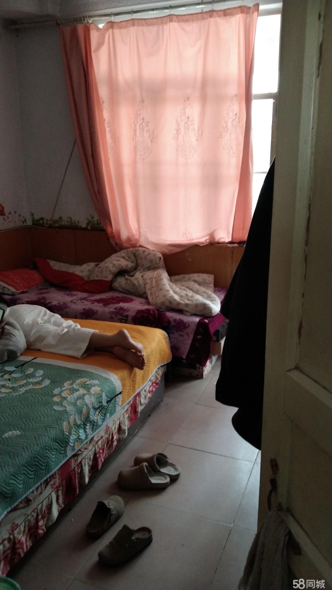 辉县出租房屋最新信息及小城故事,房屋出租的温馨奇遇与奇遇解读