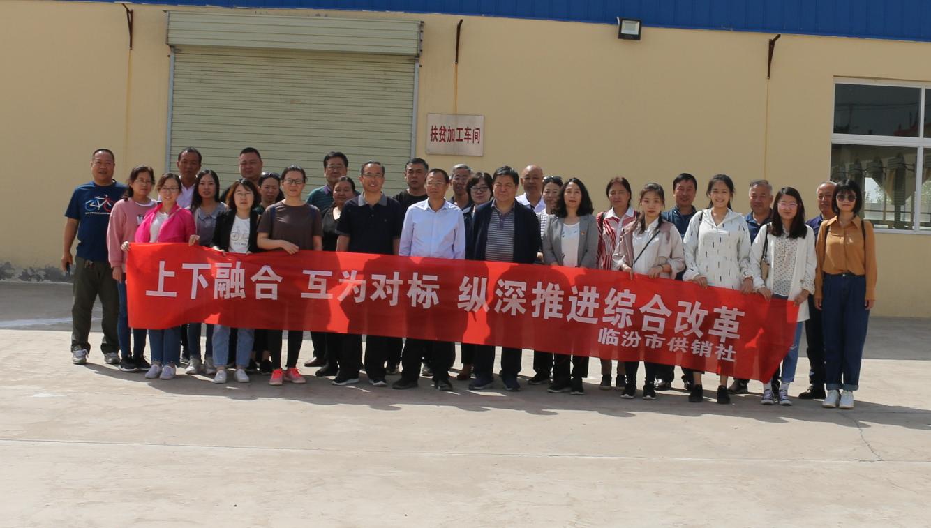 供销社改革最新政策详解及步骤指南