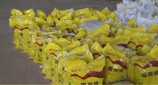 师家河村最新动态更新,最新消息汇总