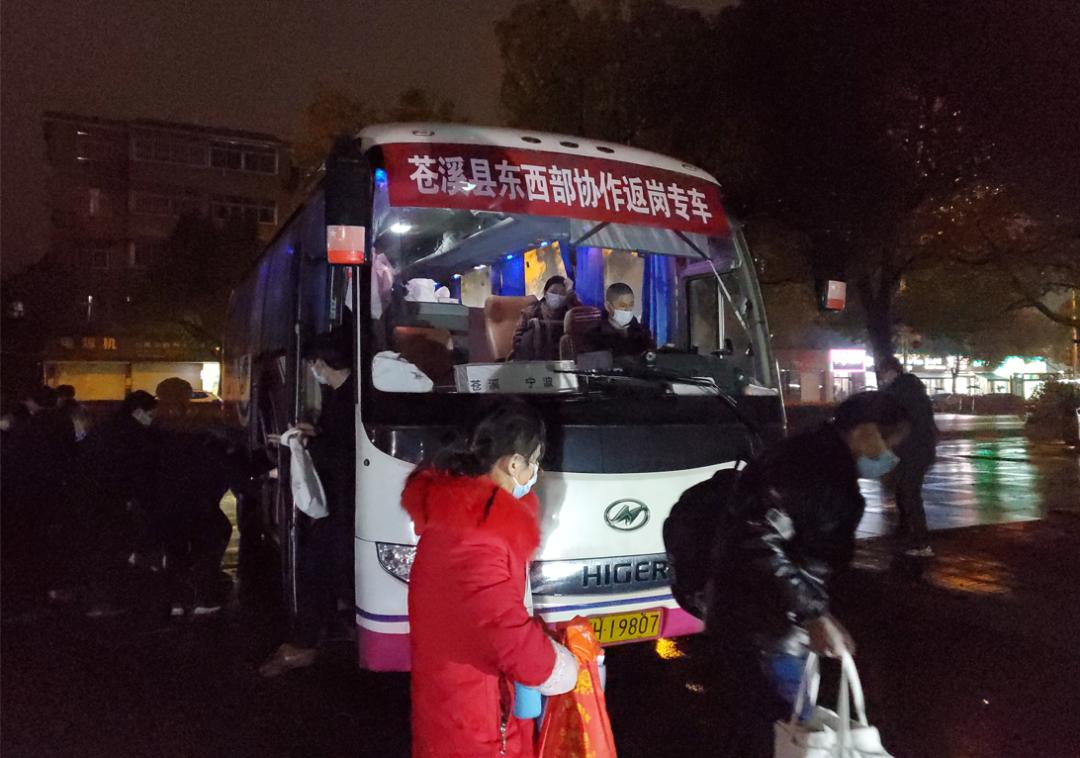 苍溪最新招聘，一份温馨的日常故事启航