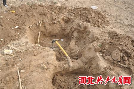 最新打孔盗油事件,冒险与日常生活的交织