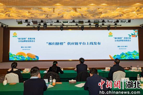 秭归最新动态,学习变化中的自信与成就感之源