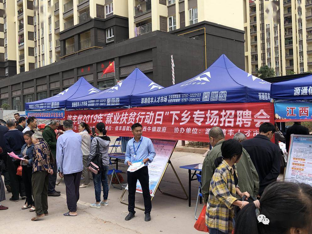 信丰最新招聘，小巷中的隐藏宝藏，探索无限职业机会