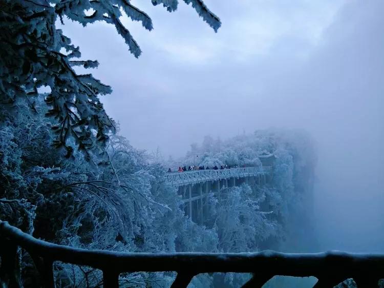 李雪婷最新高科技产品,科技与生活的完美融合典范