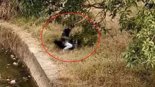 主播野战最新,智能生活的高科技革新之旅