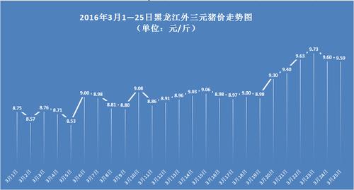 今日最新猪价，小巷深处的猪肉市场探索