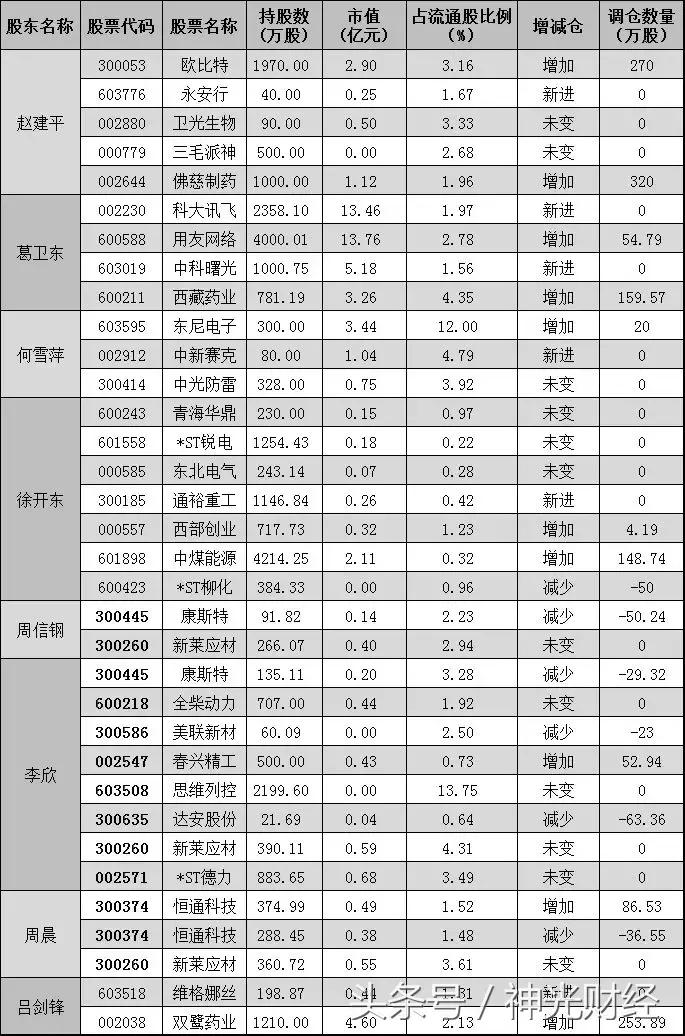 投资大师赵建平最新持仓揭秘,布局与策略洞察