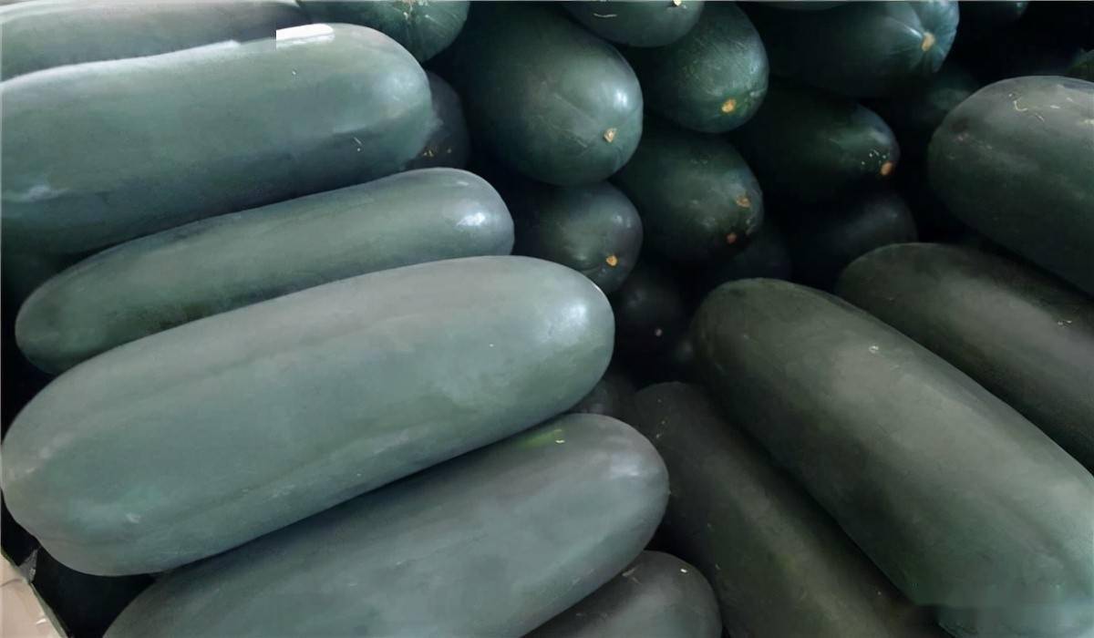 黑皮冬瓜最新价格动态,变化中的学习助力成就自信与梦想之路