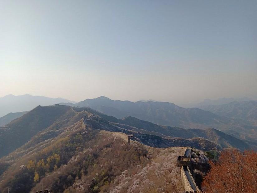 联盟天下最新动态揭秘,巷弄特色小店惊喜之旅,独特风味引人驻足