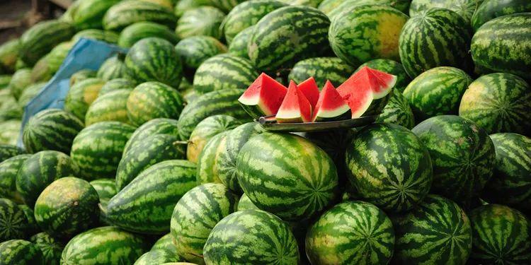2025西瓜最新价格,自然美景下的旅行探索与价格揭秘